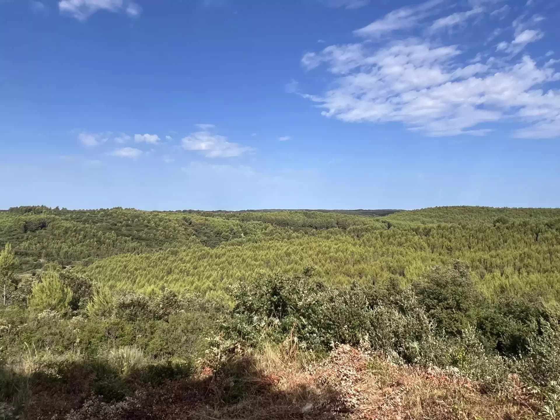 Vaste terrain d'agrément et de loisir boisé